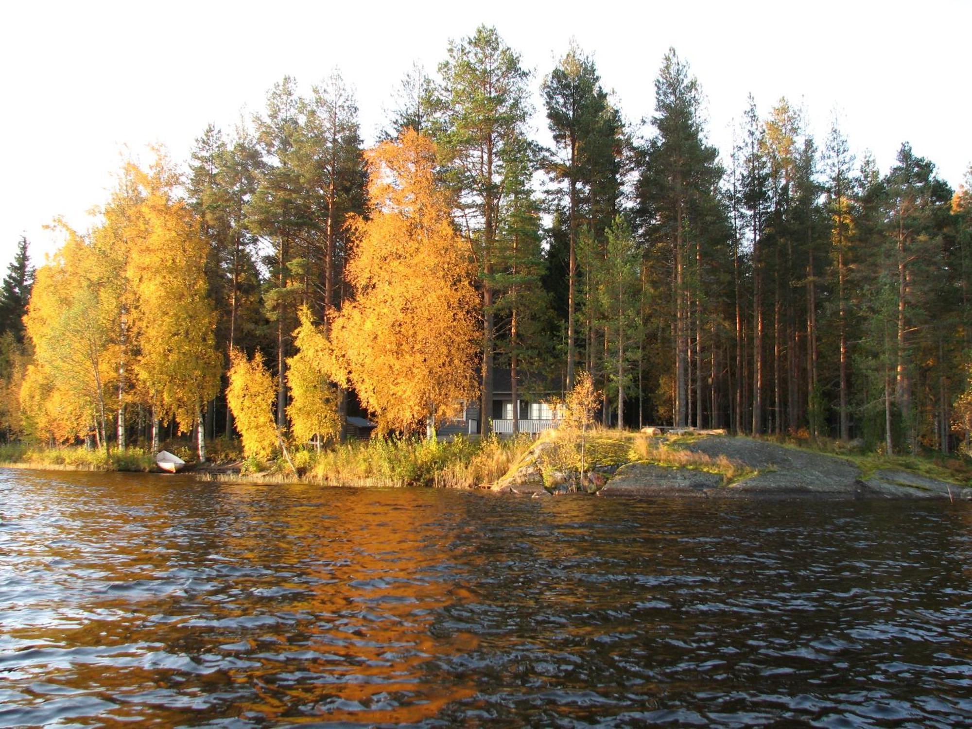 Lomamokkila Cottages Savonlinna Szoba fotó